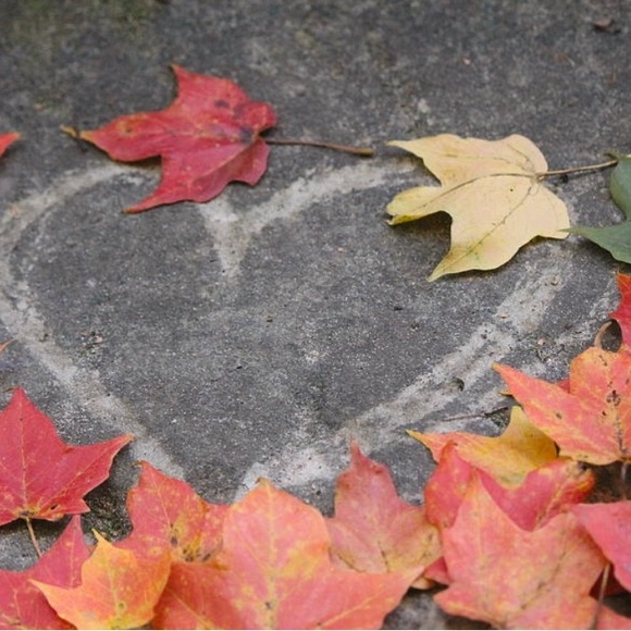 WELCOME TO LOVE, LAUREL CLOSET! - Picture 1 of 16